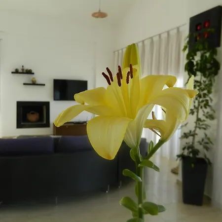 Dionysos Villa *